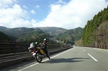水遊び ガレガレ林道 夫婦キジ 水遊び ガレガレ林道 夫婦キジ