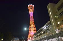 貴重な休み、日曜日