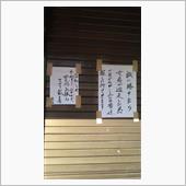にーにーの年末年始(予定)…