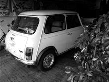ｍｉｎｉの洗車・・・