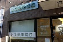 一日早く年末休みに突入．．．動物病院へ