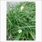 早くも・・・・・
