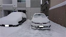 ひと晩で積もってました