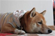 今年も1年ありがとうございました