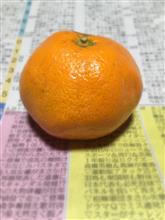 大晦日