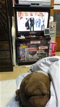 年末日記を明記する羽目に成るとはｗｗｗｗｗ