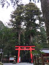 箱根にいってきたｗｗ