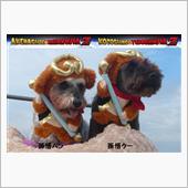 新年・・・。