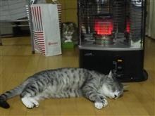 明けまして2016年