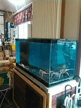 本日の出先〜～。