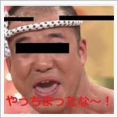 やっちまったなー。2015年 ...