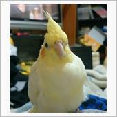 今日のみっく 2