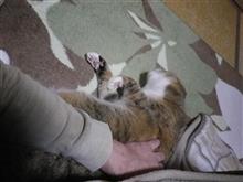 帰省はきょうまで。