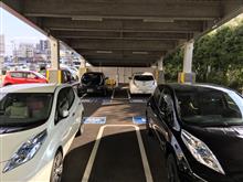 リーフだらけ❗️