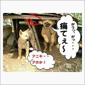 あ　～　　正月、　３日　で　 ...