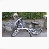 長サイクル
