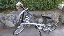 長サイクル 長サイクル