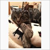 ふゆき・・・選択をミスる