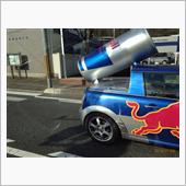 半分しか写らなかったが。