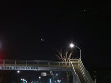 月齢28