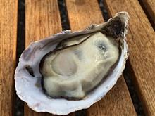 牡蠣食べ放題オフ終了！！