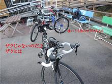 本日は80km