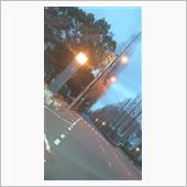 おはようございます❗