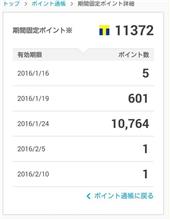 期間固定ポイントって期間が短過ぎ！