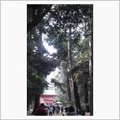 茨城へ初詣