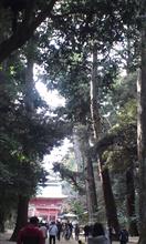 茨城へ初詣