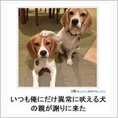 殺られました…