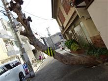 お参り