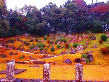 大村 旧円融寺庭園☆彡