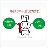 まだよく分からない…