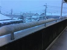 積もりましたね