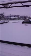 起きてビックリ雪が積もってる