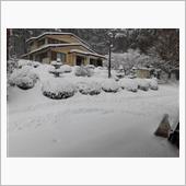 今年の初雪で大雪です。