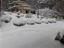今年の初雪で大雪です。