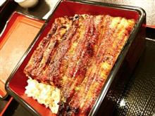 残念ながらまだ・・・