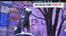 降雪