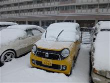 役にたちました