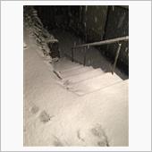 雪が！！