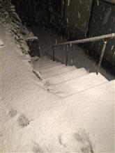 雪が！！