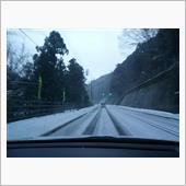 雪だ！