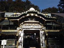 Nikko is good!