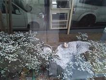 やっと来ましたね！