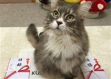 2016サーキット4回目