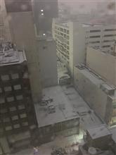 雪ですね〜(笑) 雪ですね〜(笑)