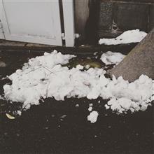 こういう光景を見るたび、TOM★CATの「ふられ気分でRock&#39;n Roll」の歌詞を思い出してしまう