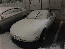 2016 名古屋 初雪